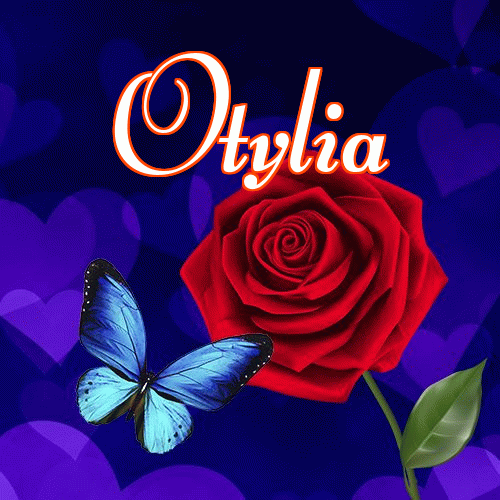 Miłego wieczoru i dobrej nocy życzę!。 