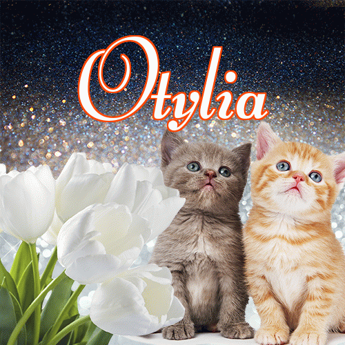 Miłego wieczoru i dobrej nocy życzę!。 