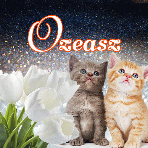 Miłego wieczoru i dobrej nocy życzę!。 