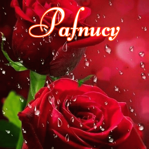 Miłego wieczoru i dobrej nocy życzę!。 