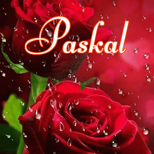 Miłego wieczoru i dobrej nocy życzę!。 