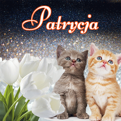 Miłego wieczoru i dobrej nocy życzę!。 