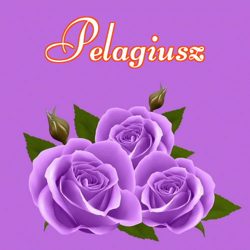 Miłego wieczoru i dobrej nocy życzę!。 