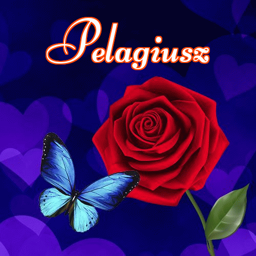 Miłego wieczoru i dobrej nocy życzę!。 