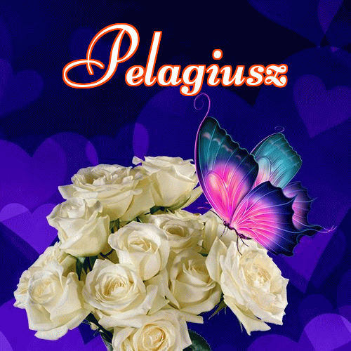 Miłego wieczoru i dobrej nocy życzę!。 