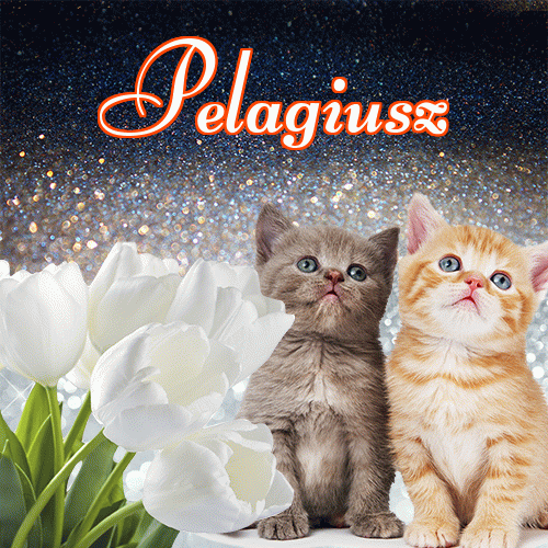 Miłego wieczoru i dobrej nocy życzę!。 