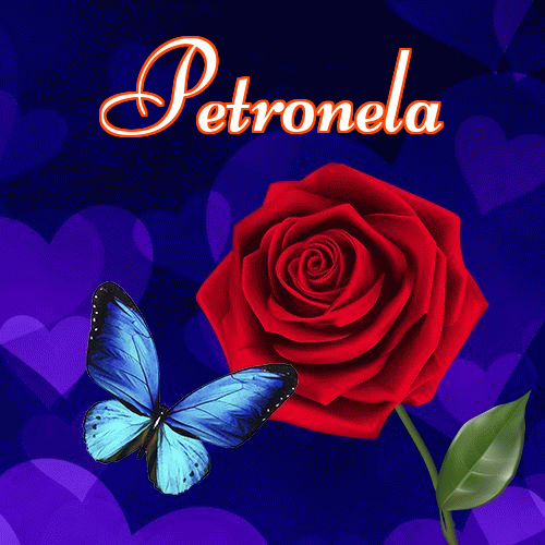 Miłego wieczoru i dobrej nocy życzę!。 