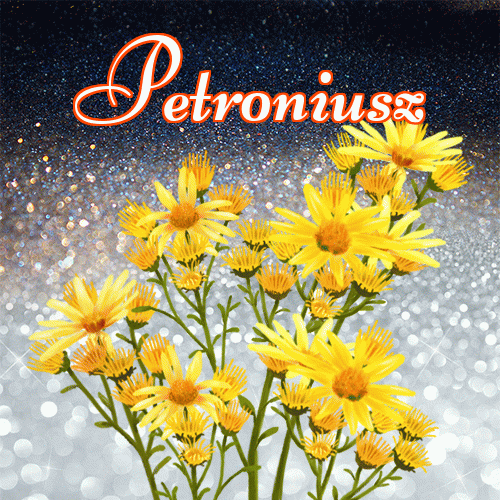 Miłego wieczoru i dobrej nocy życzę!。 