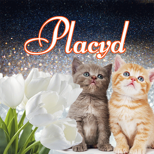 Miłego wieczoru i dobrej nocy życzę!。 