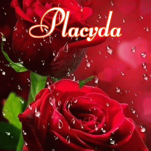 Miłego wieczoru i dobrej nocy życzę!。 