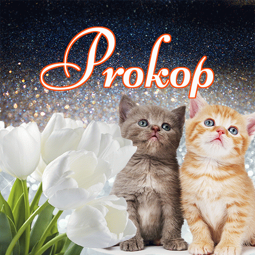 Miłego wieczoru i dobrej nocy życzę!。 