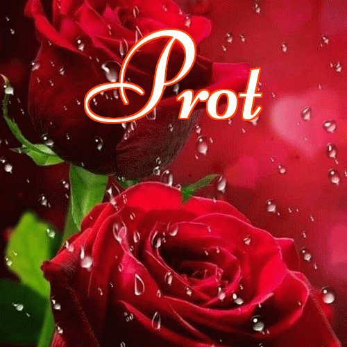 Miłego wieczoru i dobrej nocy życzę!。 