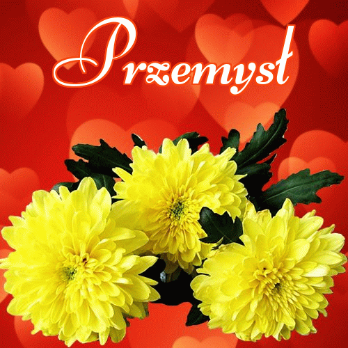 Miłego wieczoru i dobrej nocy życzę!。 