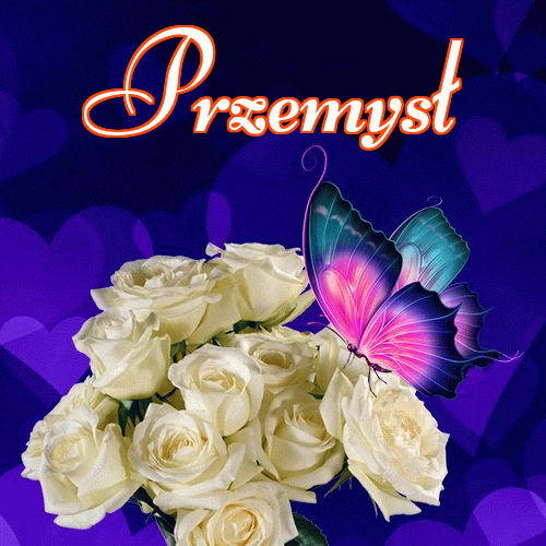 Miłego wieczoru i dobrej nocy życzę!。 