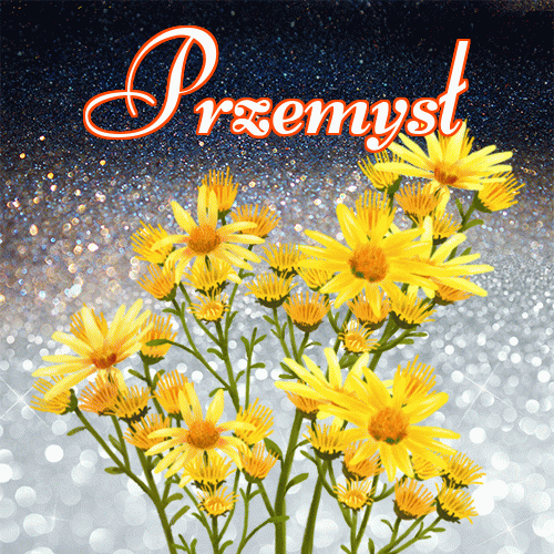 Miłego wieczoru i dobrej nocy życzę!。 