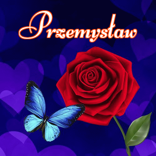 Miłego wieczoru i dobrej nocy życzę!。 