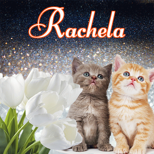 Miłego wieczoru i dobrej nocy życzę!。 