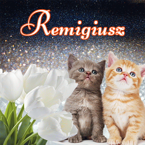 Miłego wieczoru i dobrej nocy życzę!。 