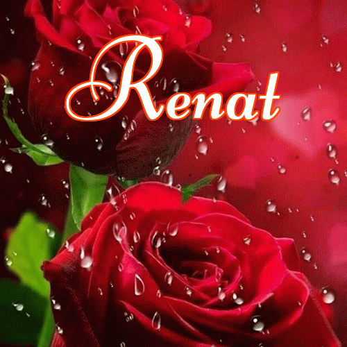 Miłego wieczoru i dobrej nocy życzę!。 