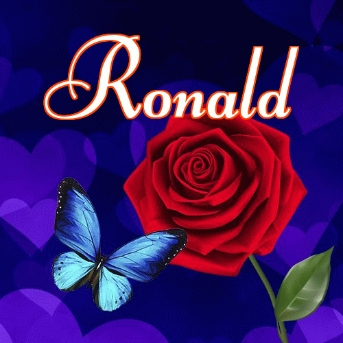 Miłego wieczoru i dobrej nocy życzę!。 