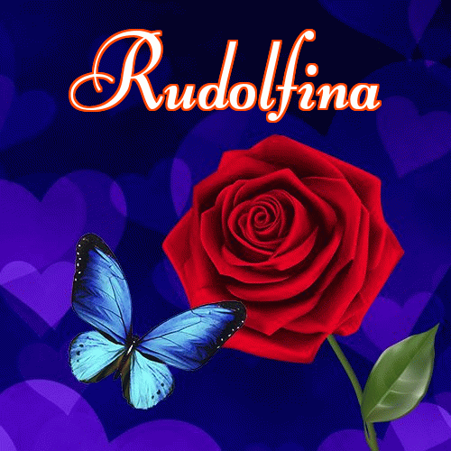 Miłego wieczoru i dobrej nocy życzę!。 