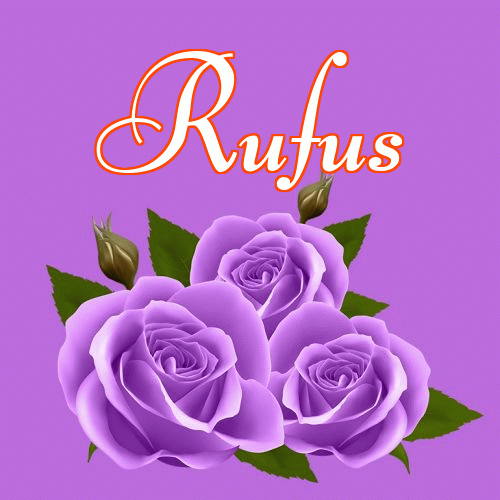 Miłego wieczoru i dobrej nocy życzę!。 