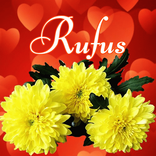 Miłego wieczoru i dobrej nocy życzę!。 