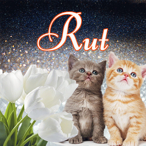 Miłego wieczoru i dobrej nocy życzę!。 