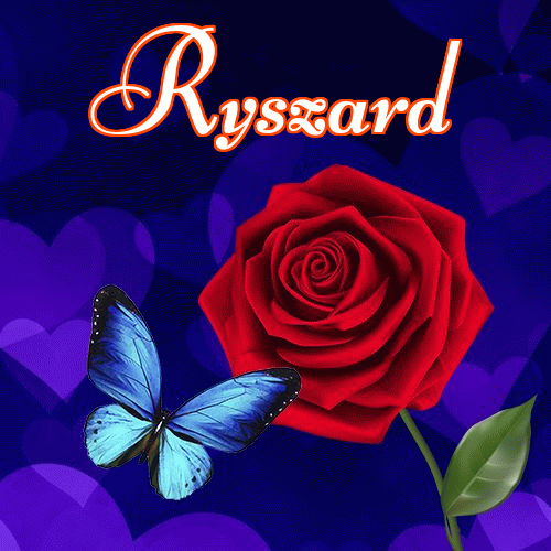 Miłego wieczoru i dobrej nocy życzę!。 