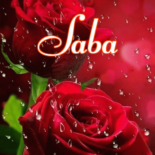 Miłego wieczoru i dobrej nocy życzę!。 