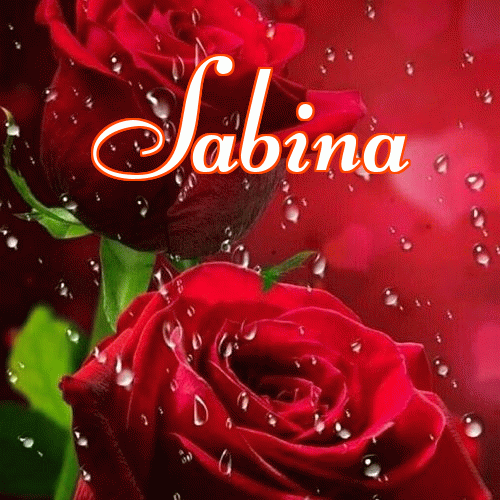 Miłego wieczoru i dobrej nocy życzę!。 