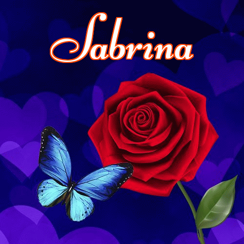 Miłego wieczoru i dobrej nocy życzę!。 