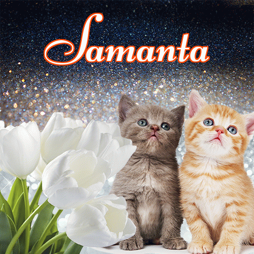 Miłego wieczoru i dobrej nocy życzę!。 