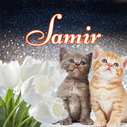 Miłego wieczoru i dobrej nocy życzę!。 