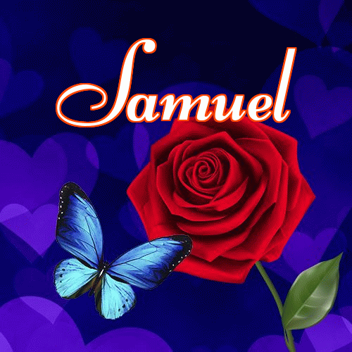 Miłego wieczoru i dobrej nocy życzę!。 