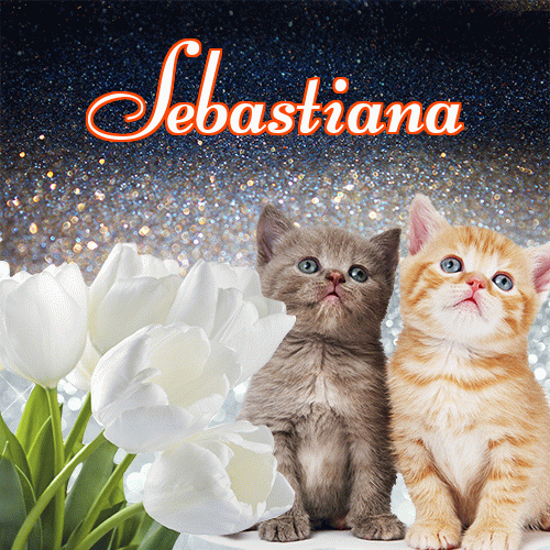 Miłego wieczoru i dobrej nocy życzę!。 