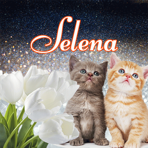 Miłego wieczoru i dobrej nocy życzę!。 