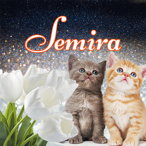 Miłego wieczoru i dobrej nocy życzę!。 