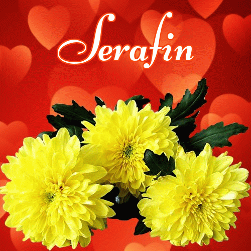 Miłego wieczoru i dobrej nocy życzę!。 