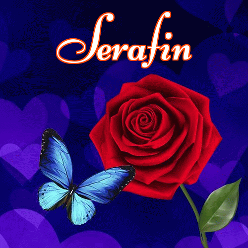 Miłego wieczoru i dobrej nocy życzę!。 