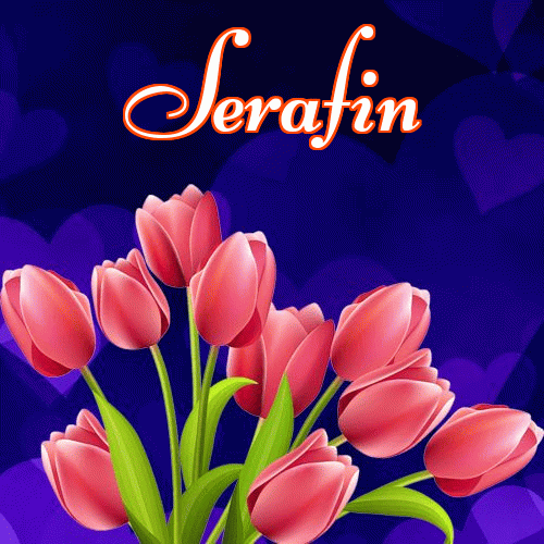 Miłego wieczoru i dobrej nocy życzę!。 