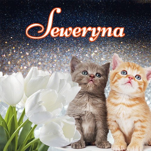 Miłego wieczoru i dobrej nocy życzę!。 