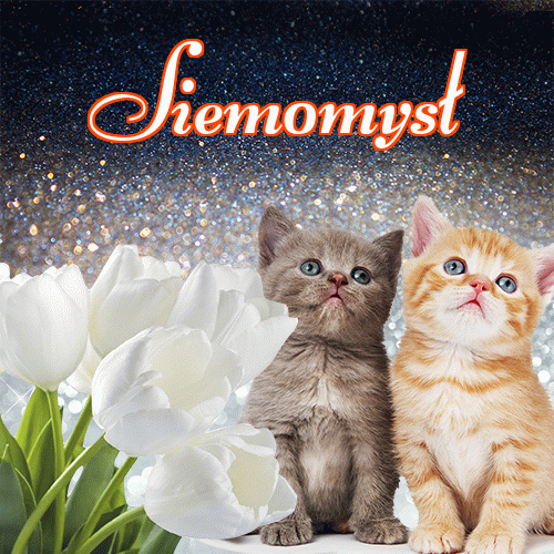 Miłego wieczoru i dobrej nocy życzę!。 