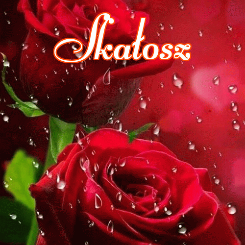 Miłego wieczoru i dobrej nocy życzę!。 