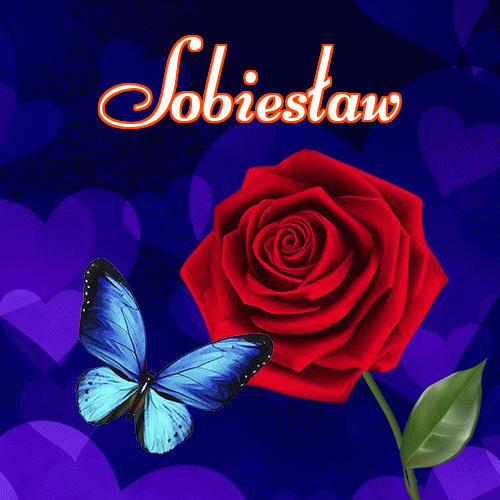 Miłego wieczoru i dobrej nocy życzę!。 