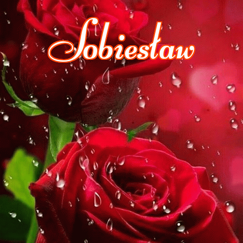 Miłego wieczoru i dobrej nocy życzę!。 