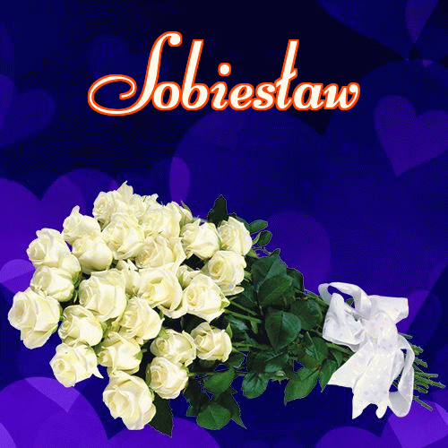 Miłego wieczoru i dobrej nocy życzę!。 