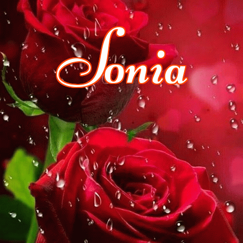 Miłego wieczoru i dobrej nocy życzę!。 