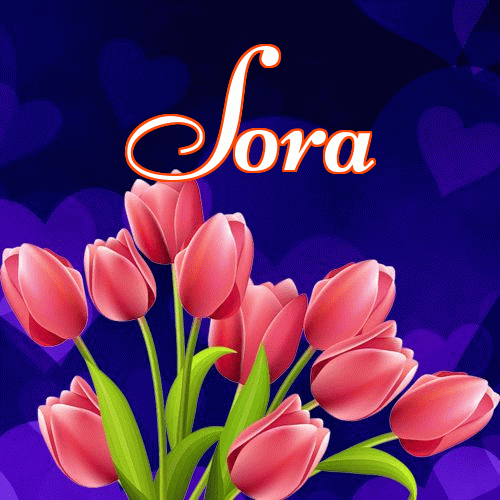 Miłego wieczoru i dobrej nocy życzę!。 