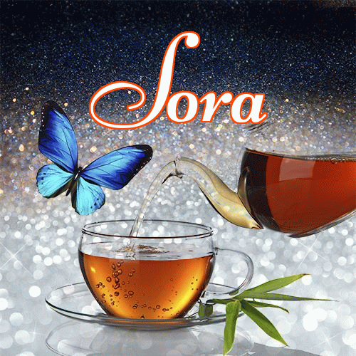 Miłego wieczoru i dobrej nocy życzę!。 